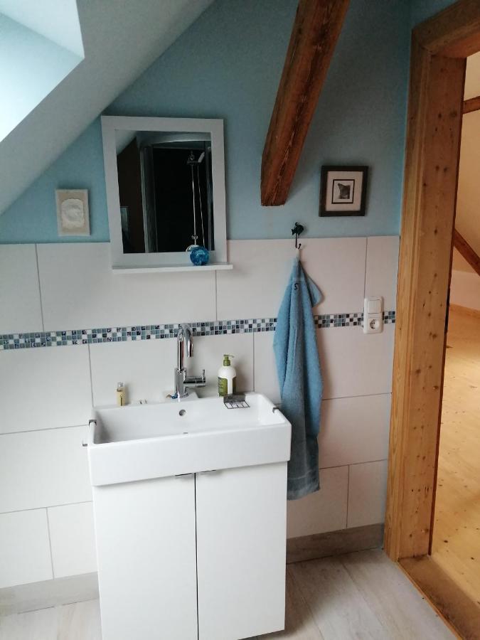 Apartament Haus Schmeile Magdeburg Zewnętrze zdjęcie